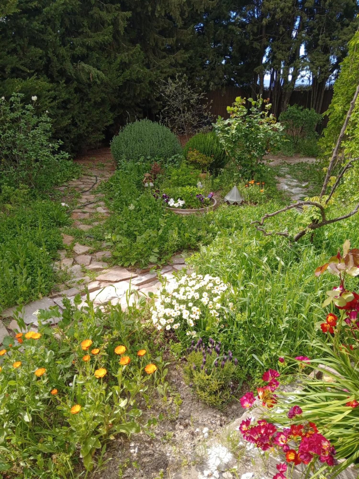 Casa Con Jardin Y Aparcamiento En Viznar, Junto A Granada Villa Buitenkant foto
