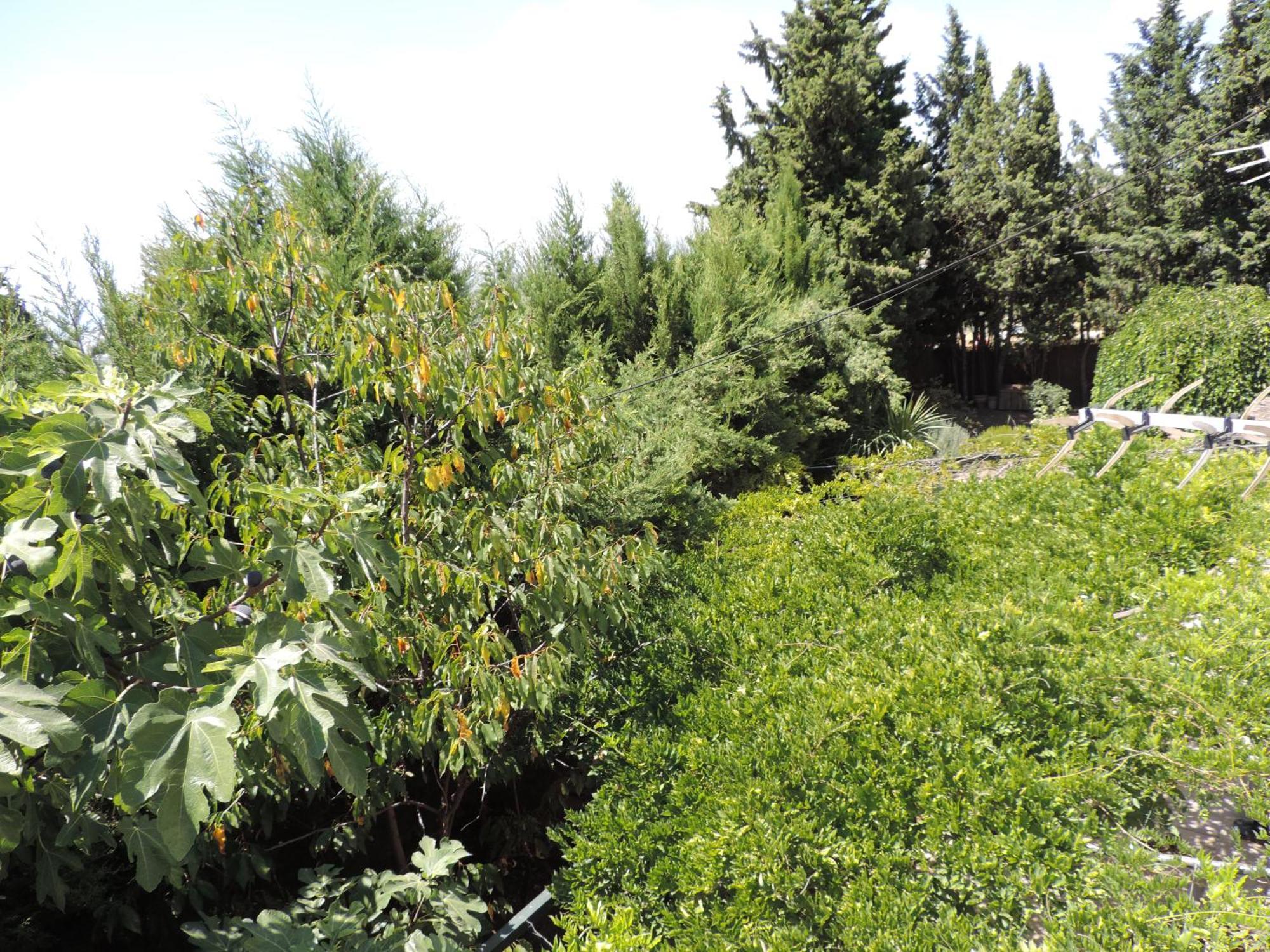 Casa Con Jardin Y Aparcamiento En Viznar, Junto A Granada Villa Buitenkant foto